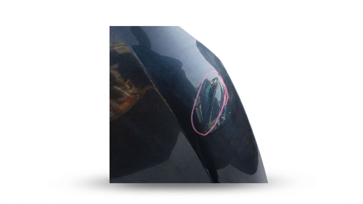 COFANO ANTERIORE SEAT IBIZA 2009 — foto 5