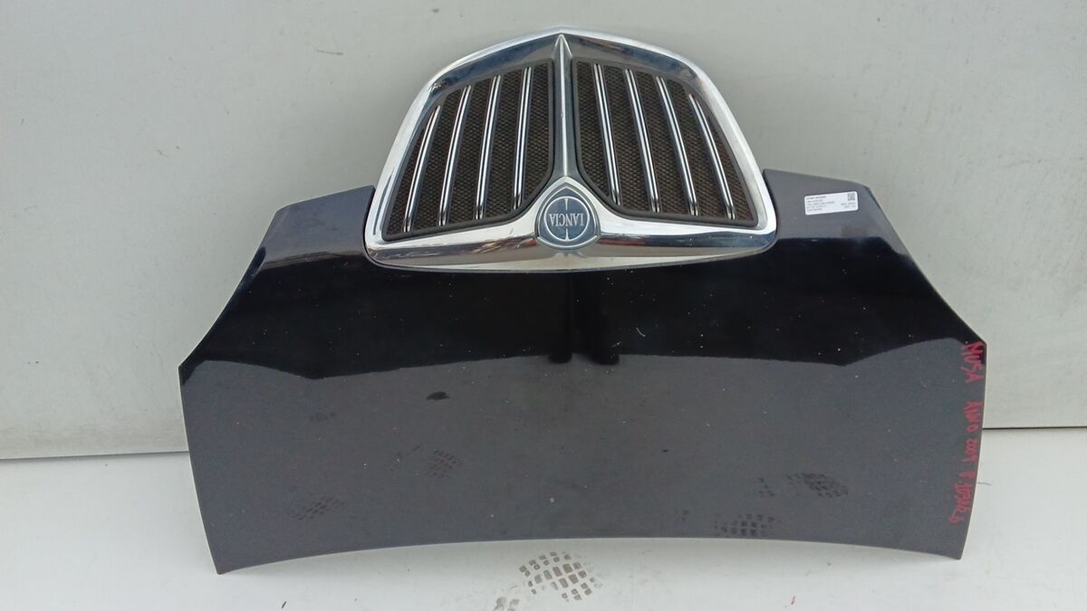 COFANO ANTERIORE LANCIA MUSA 2009 BLU — foto 3